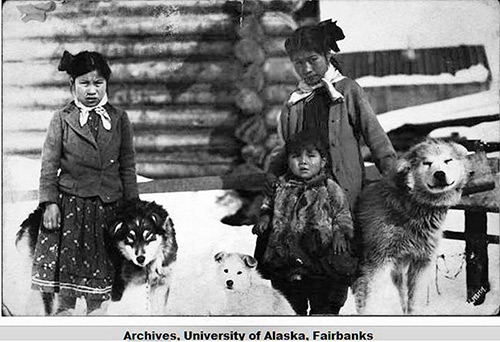 Alaskan Malamute